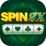 spin 2x